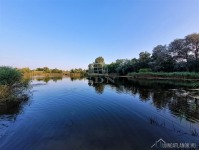 Eladó családi ház Szigetszentmiklós Sólyom utca