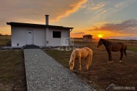 Eladó családi ház Váchartyán külterület 08/18