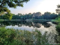 Eladó családi ház Szigetszentmiklós Sólyom utca